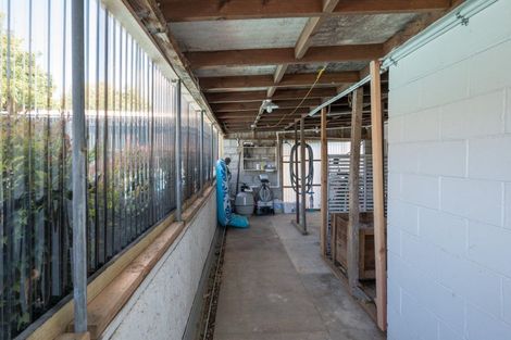 Photo of property in 13 Hebberd Place, Richmond, 7020