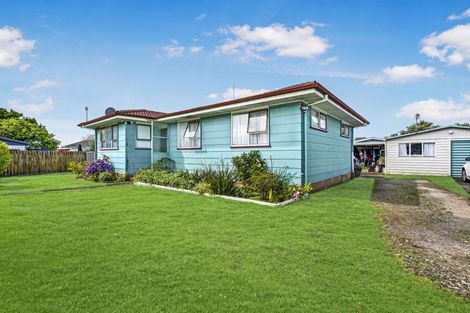 Photo of property in 12 Hinerau Street, Henderson, Auckland, 0612