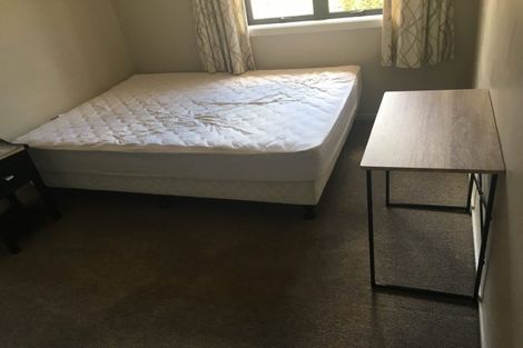 Photo of property in 27u1 Hogan Street, Hamilton East, Hamilton, 3216