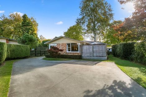 Photo of property in 15 Sylvan Place, Matamata, 3400
