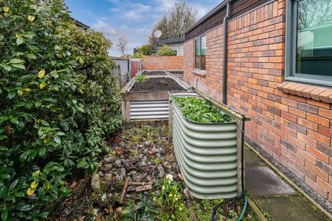 Photo of property in 11 Walnut Avenue, Allenton, Ashburton, 7700