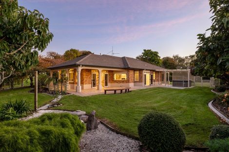Photo of property in 16r Elder Lane, Bethlehem, Tauranga, 3110
