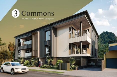 Photo of property in 3 Commons Avenue, Mount Maunganui, 3116