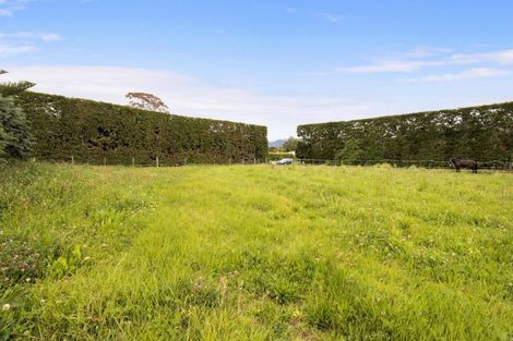 Photo of property in 50 Tetley Road, Tahawai, Katikati, 3178