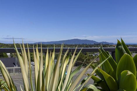 Photo of property in 101 Kakariki Grove, Waikanae, 5036