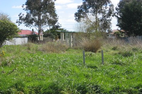 Photo of property in 20 Racecourse Avenue, Marton, 4710