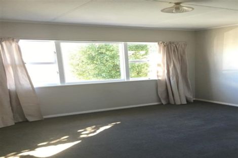 Photo of property in 38 Oxford Street, Richmond, 7020