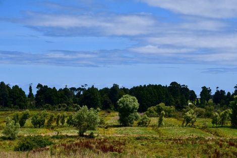 Photo of property in 216 Kongahu Swamp Road, Little Wanganui, Karamea, 7893