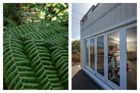 Photo of property in 7 Trotter Avenue, Waiomu, Thames, 3575