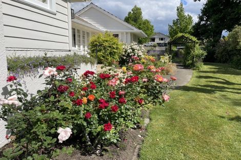Photo of property in 67 Mchardy Street, Havelock North, 4130