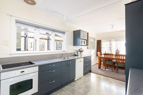 Photo of property in 28 Elizabeth Place, Ferndale, New Plymouth, 4310
