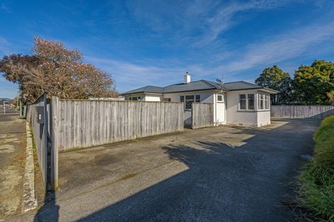 Photo of property in 56 Shamrock Street, Takaro, Palmerston North, 4412