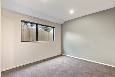 Photo of property in 45b Prospect Terrace, Pukekohe, 2120