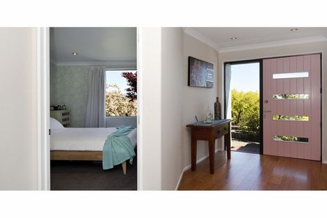 Photo of property in 41 Park Drive, Richmond, 7020