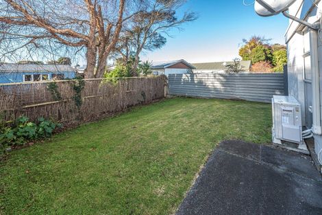 Photo of property in 1/1 Ingestre Street, Whanganui, 4500