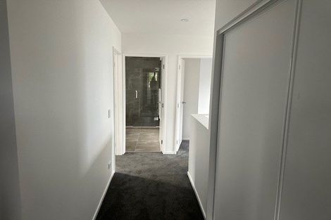 Photo of property in 41 Wychbury Street, Spreydon, Christchurch, 8024