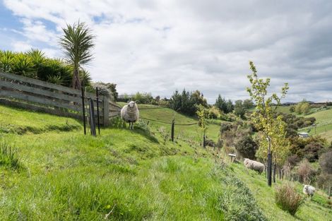 Photo of property in 49 Wapiti Avenue, Feilding, 4775