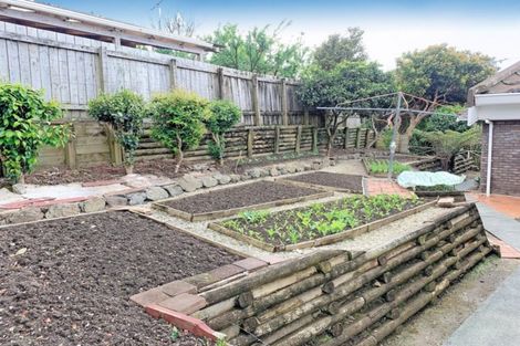 Photo of property in 17 Coquette Street, Warkworth, 0910