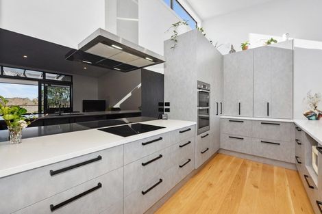 Photo of property in 21u2 Manning Street, Hamilton Central, Hamilton, 3204