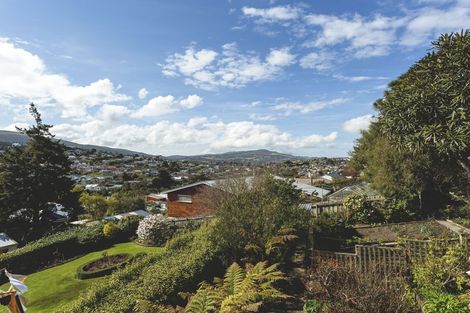 Photo of property in 38 Falcon Street, Kaikorai, Dunedin, 9010
