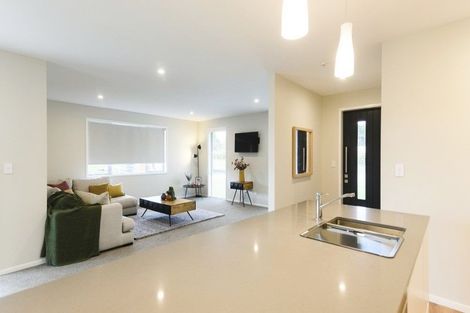 Photo of property in 79 Fairfield Road, Levin, 5510