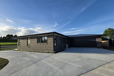 Photo of property in 56 Ruru Crescent, Putaruru, 3411