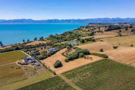 Photo of property in 50 Cliff Road, Tasman, Upper Moutere, 7173