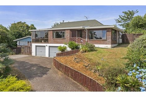 Photo of property in 6 Exeter Street, Glenview, Hamilton, 3206