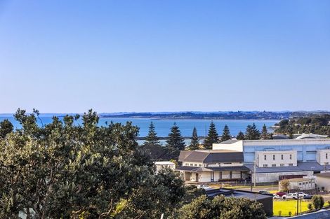 Photo of property in 32 Ngamotu Road, Moturoa, New Plymouth, 4310