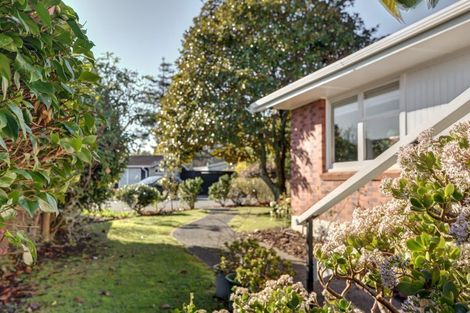 Photo of property in 19 Tregarth Street, Saint Johns Hill, Whanganui, 4501
