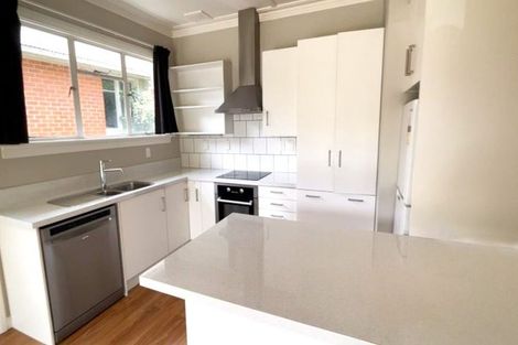 Photo of property in 16 Warden Street, Opoho, Dunedin, 9010