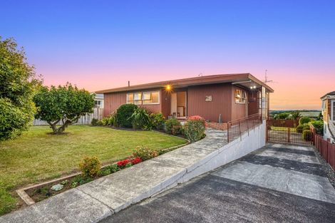 Photo of property in 41 Bradbury Road, Botany Downs, Auckland, 2010