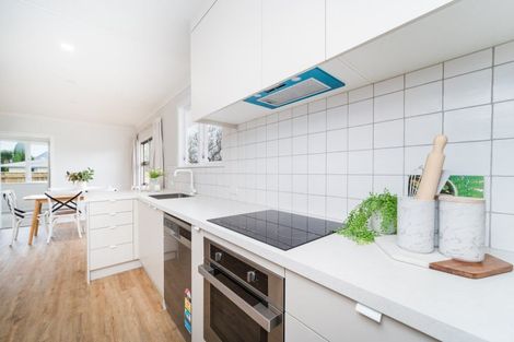 Photo of property in 49 Pitama Road, Awapuni, Palmerston North, 4412