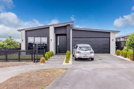 Photo of property in 4 Lulu Avenue, Chartwell, Hamilton, 3210