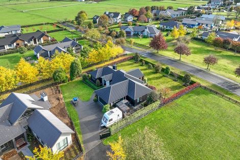 Photo of property in 4 Danehill Close, Matamata, 3400