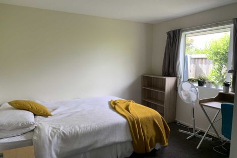 Photo of property in 3 Temple Avenue, Lincoln, 7608