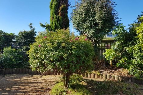 Photo of property in 81 Paora Hapi Street, Taupo, 3330