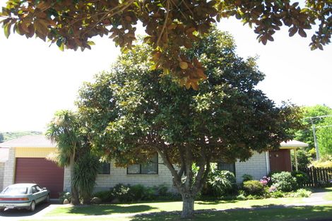Photo of property in 1 Heatherlea Street, Outer Kaiti, Gisborne, 4010