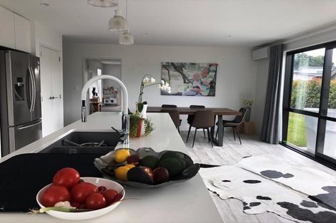 Photo of property in 13 Libeau Road, Chartwell, Hamilton, 3210