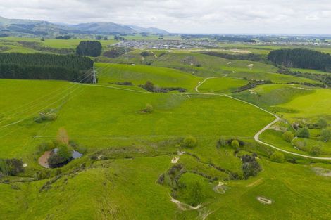 Photo of property in 158 Pahiatua Aokautere Road, Aokautere, 4471