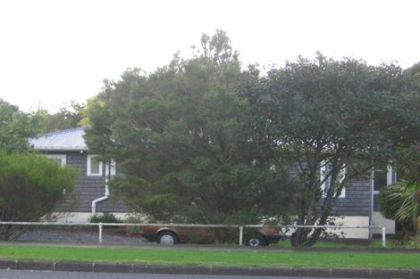Photo of property in 12 Larnoch Road, Henderson, Auckland, 0610