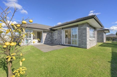 Photo of property in 60 Hastings Road, Pyes Pa, Tauranga, 3112
