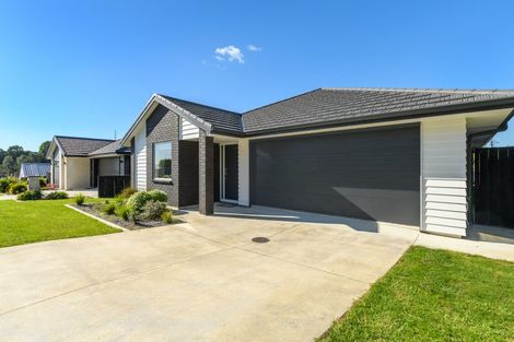 Photo of property in 10 Kokopu Lane, Ohauiti, Tauranga, 3112