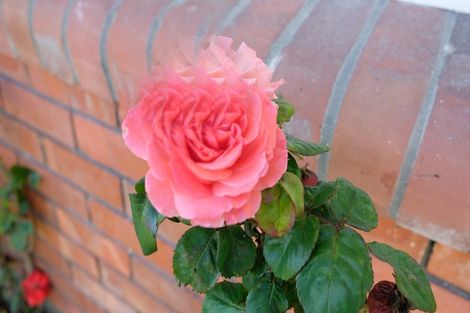 Photo of property in 2/94 Charles Street, Waltham, Christchurch, 8011