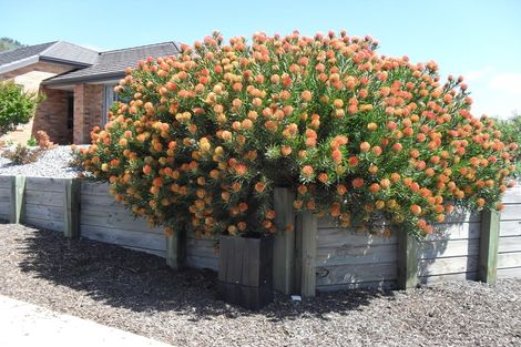 Photo of property in 12 Pine Crest Drive, Richmond, 7020