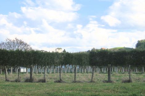 Photo of property in 26 Allan Drive, Whangamata, 3691