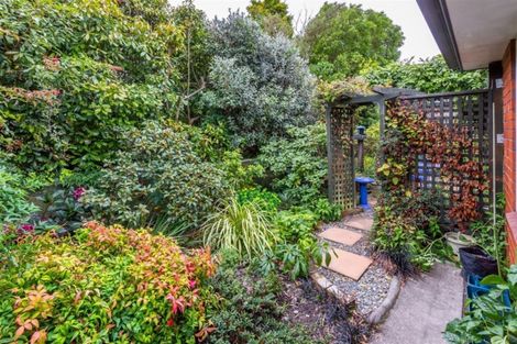 Photo of property in 28 Lionel Street, Avonside, Christchurch, 8061
