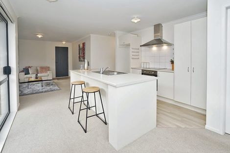 Photo of property in 53 Dey Street, Hamilton East, Hamilton, 3216