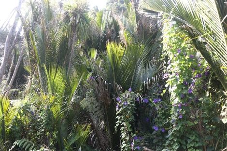 Photo of property in 223 Huia Road, Titirangi, Auckland, 0604