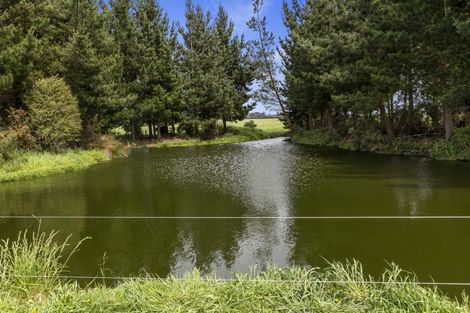 Photo of property in 266 Rangiora Leithfield Road, Sefton, 7477